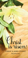 Christ Is Risen! Easter Lilies Offering Envelope (Pkg of 50) (Bulletin)