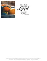 Give Thanks Thanksgiving Letterhead (Pkg of 50) (Loose-leaf)