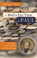 Bird's Eye View of Paul, A (Paperback)