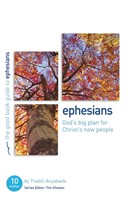Ephesians: God's Big Plan (Paperback)