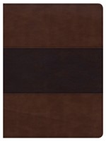 CSB Apologetics Study Bible, Mahogany Leathertouch, Indexed (Imitation Leather)