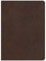 CSB Worldview Study Bible, Brown Genuine Leather (Leather Binding)
