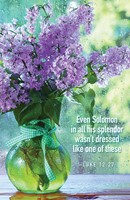 Even Solomon Spring Bulletin (Pkg of 50) (Bulletin)