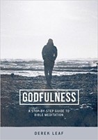 Godfulness (Paperback)