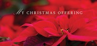 Poinsettia & Music Christmas Offering Envelope (Pkg of 50) (Bulletin)