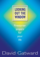 Looking Out The Window (Paperback)
