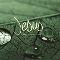 Jesus - A Primer For The Curious (Paperback)