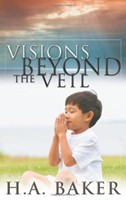 Visions Beyond The Veil (Paperback)