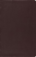 ESV Large Print Thinline Reference Bible (Brown) (Leather Binding)