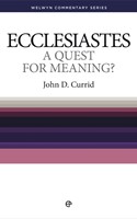Ecclesiastes:  A Quest for Meaning ? (Paperback)