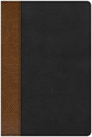 CSB Rainbow Study Bible, Black/Tan (Imitation Leather)