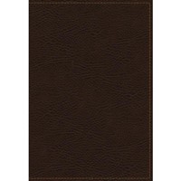 KJV Study Bible, The, Bonded Leather, Full-Color Ed. (Bonded Leather)