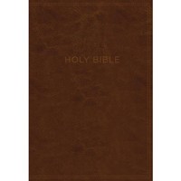 KJV Know The Word Study Bible, Black/Brown, Red Letter Ed. (Imitation Leather)