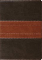 ESV Study Bible Trutone, Forest/Tan, Trail Design (Imitation Leather)