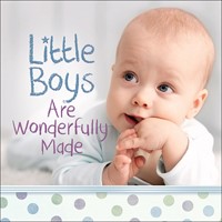 Little Boys Are Wonderfully Made (Hard Cover)