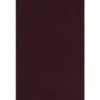 KJV Study Bible, The, Indexed, Full-Color Ed. (Bonded Leather)