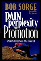 Pain, Perplexity, And Promotion (Paperback)