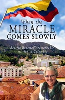 When the Miracle Comes Slowly (Paperback)