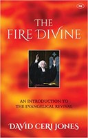 The Fire Divine (Paperback)