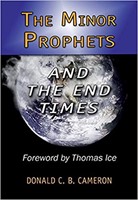 The Minor Prophets and the End Times (Paperback)