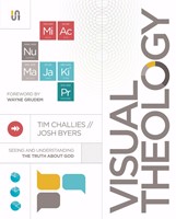 Visual Theology (Paperback)