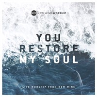 You Restore My Soul (Live) CD (CD-Audio)