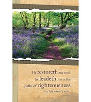 Paths Of Righteousness Bulletin (Pack of 100) (Bulletin)