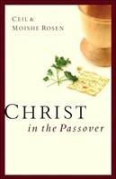 Christ In The Passover (Paperback)