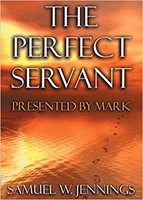 The Perfect Servant (Paperback)