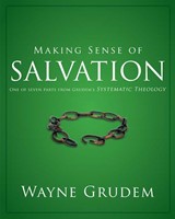 Making Sense of Salvation (Paperback)