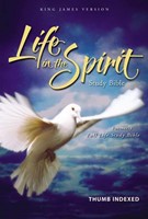 KJV Life In The Spirit Study Bible Indexed (Bonded Leather)