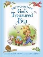 Bible Promises For God's Treasured Boy (Hard Cover)