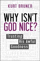 Why Isn't God Nice? (Paperback)