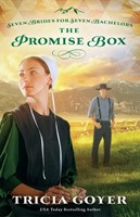 The Promise Box (Paperback)