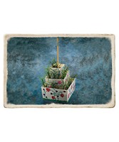 VBS Babylon Miniature Hanging Garden Kits (Pack of 10) (General Merchandise)