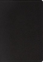 ESV Large Print Wide Margin Bible (Black) (Leather Binding)