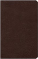 CSB Ultrathin Bible, Brown LeatherTouch (Imitation Leather)