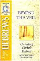 Beyond the Veil (Paperback)
