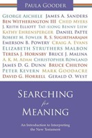 Searching For Meaning (Paperback)
