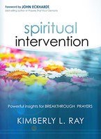 Spiritual Intervention (Paperback)