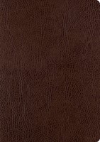 ESV Single Column Journaling Bible, Large Print (Bonded Leather)