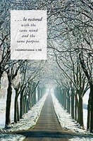 Winter Path Scripture Series Bulletin (Pkg of 50) (Bulletin)