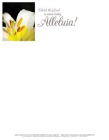 Christ the Lord Easter Lilies Letterhead (Pkg of 50) (Bulletin)