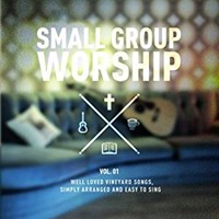 Small Group Worship Vol.1  DVD
