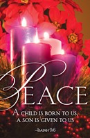 Peace Advent Candle Sunday 4 Bulletin (Pkg of 50) (Loose-leaf)