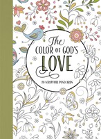 Color of God's Love (Paperback)