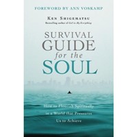 Survival Guide For The Soul (Paperback)