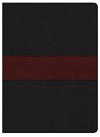 KJV Apologetics Study Bible, Black/Red Leathertouch (Imitation Leather)