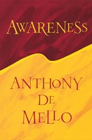 Awareness (Paperback)