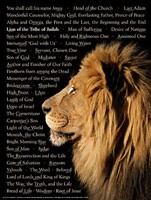Lion of Judah Laminated Wall Chart (Wall Chart)